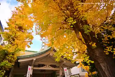 銀杏岡八幡神社(東京都)