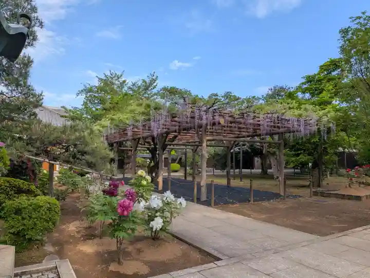 愛染院(東京都)