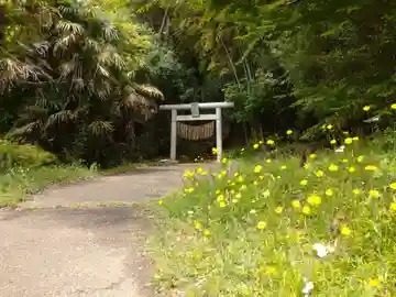 大佐倉麻賀多神社の鳥居