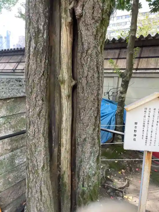那古野神社の自然
