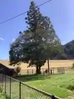 大まや湊口 地蔵尊の自然