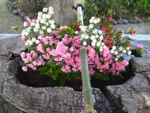 阿智神社の手水