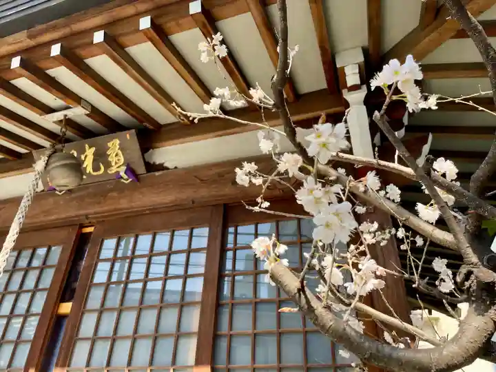 道了寺(東京都)