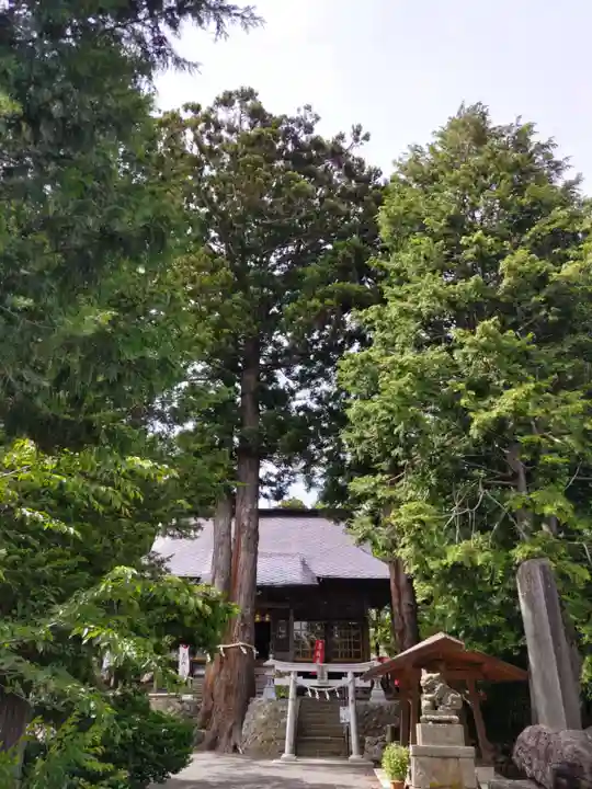 高司神社〜むすびの神の鎮まる社〜の自然
