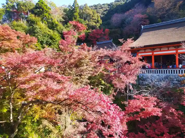 清水寺(京都府)