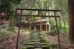 鹿児島神宮の鳥居