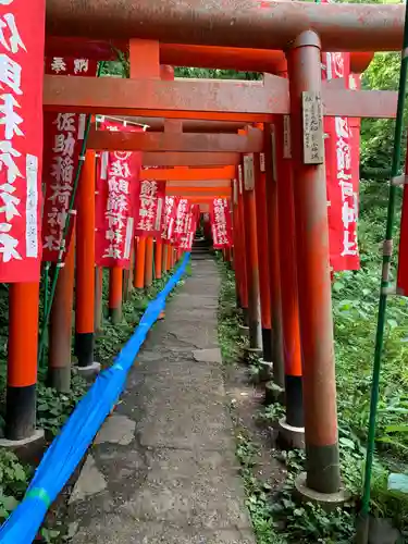 佐助稲荷神社の鳥居