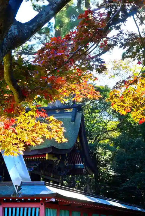 鹿島神宮(茨城県)