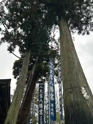 大宮八幡宮(兵庫県)