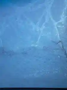 伏木香取神社(茨城県)(2023年12月02日(土) 07時53分08秒投稿)