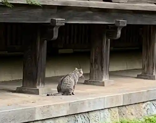 淨眞寺(東京都)