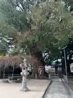 山王神社(長崎県)