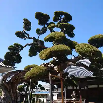 西法寺(大阪府)