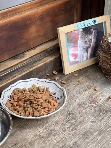 法案寺南坊の動物