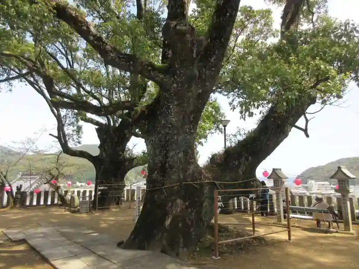 薬王寺(徳島県)