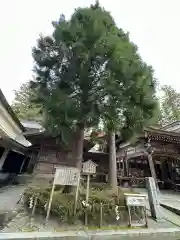 白山比咩神社(石川県)