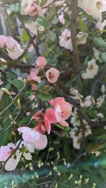 本昌寺(京都府)