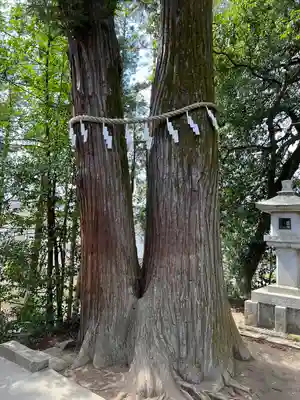 聖神社(埼玉県)