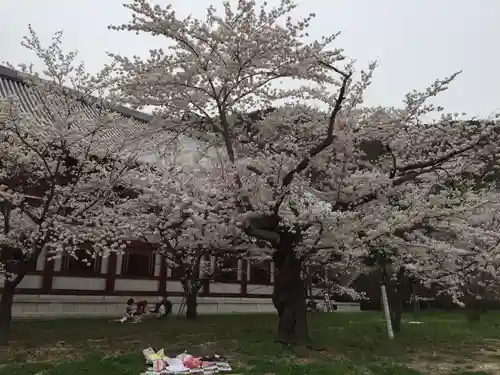 善光寺の庭園