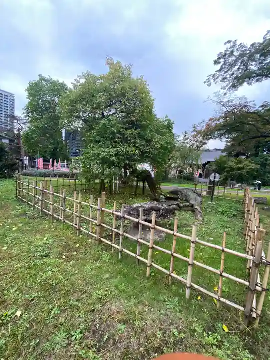櫻岡大神宮の庭園