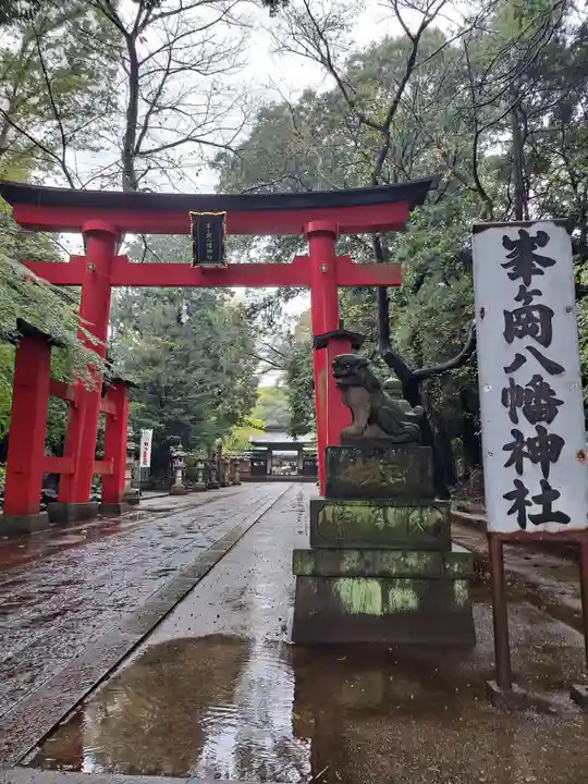 峯ヶ岡八幡神社(埼玉県)