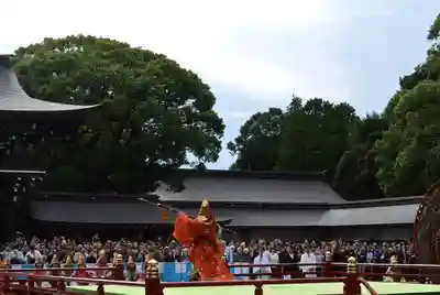 明治神宮(東京都)