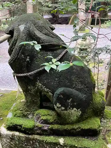 花園神社(茨城県)