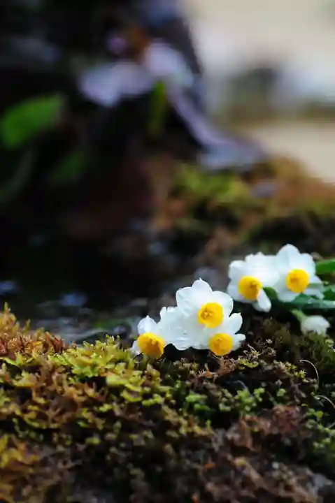 浄土寺(兵庫県)
