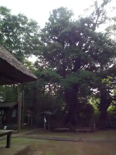 宝珠院観音堂(千葉県)