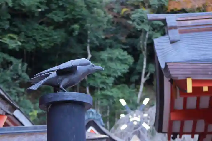 熊野那智大社(和歌山県)