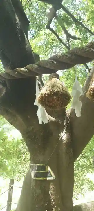 本牧神社(神奈川県)
