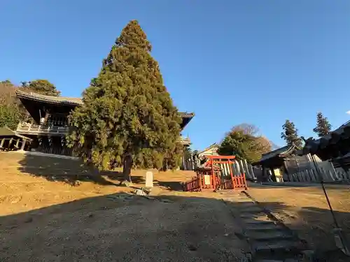 興成神社（東大寺境内社）(奈良県)
