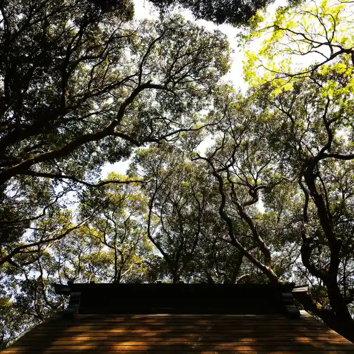 沼尾神社の自然