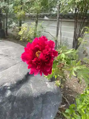 遍照寺(京都府)