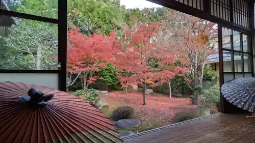 勝林寺(京都府)