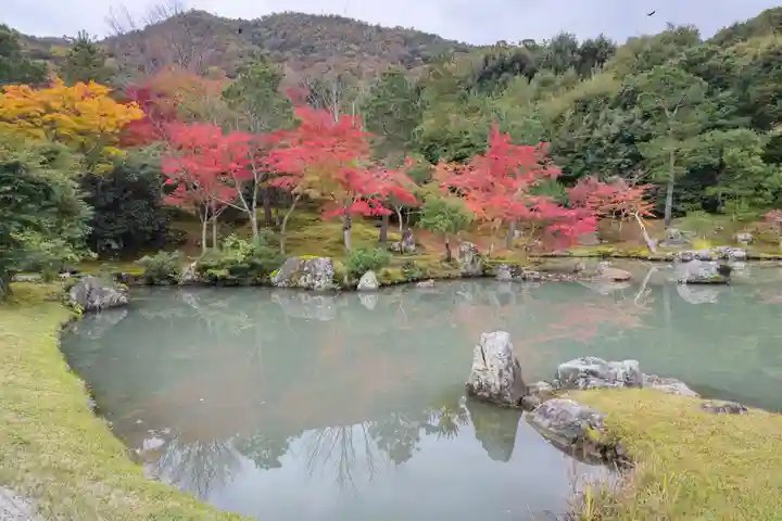 天龍寺の庭園