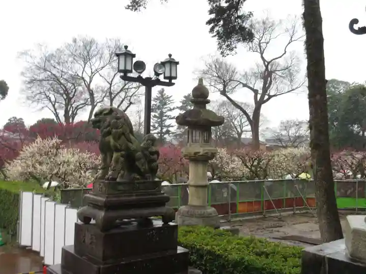 北野天満宮の庭園