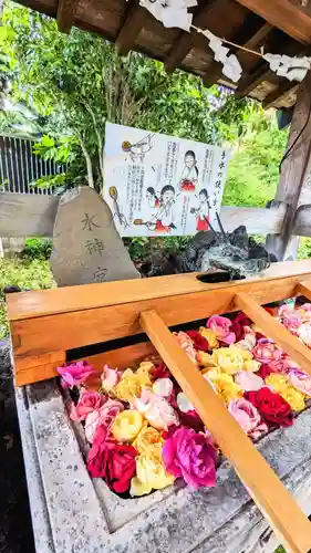 鳩ヶ谷氷川神社の手水舎