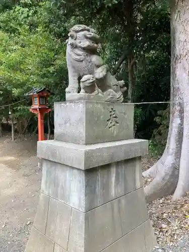 久伊豆神社の狛犬