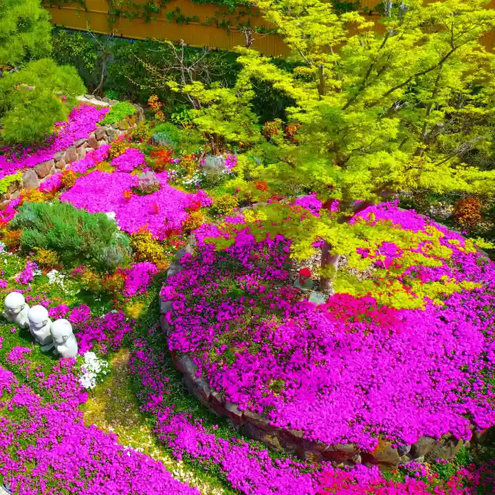 寿量山 速成寺(奈良県)