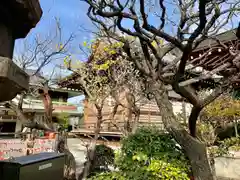 亀戸天神社(東京都)