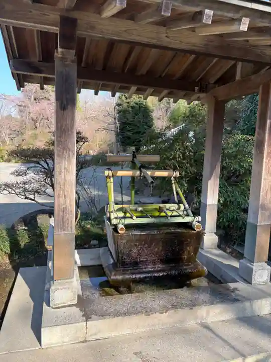 達磨寺(群馬県)