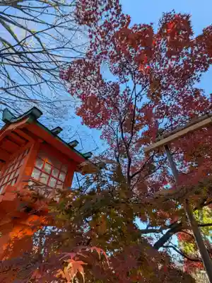 穴八幡宮(東京都)