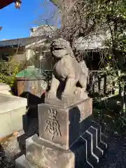 筑土八幡神社の狛犬