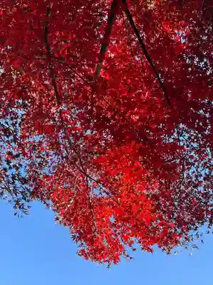 慈光寺(埼玉県)