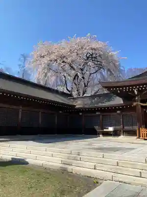 長野縣護國神社(長野県)