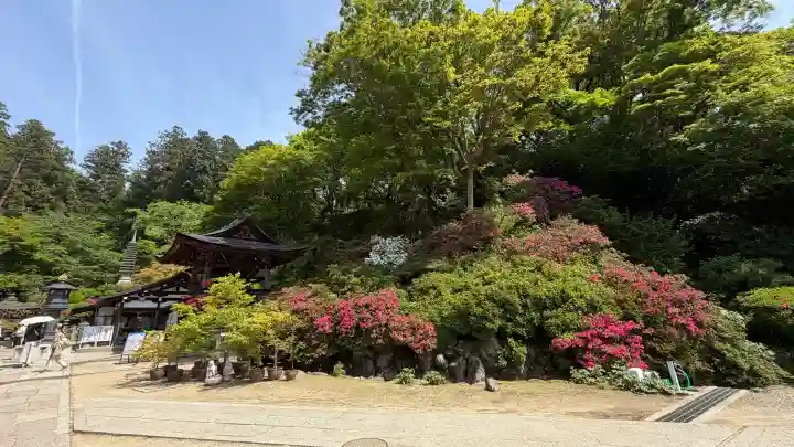 岡寺(龍蓋寺)の{uncategorized: "未分類", other: "その他", undefined: "問題あり", building: "その他建物", grave: "お墓", sacred_gate: "鳥居", guardian: "狛犬", statue: "像", buddha: "仏像", history: "歴史", nature: "自然", garden: "庭園", animal: "動物", pagoda: "塔", temizu: "手水舎", mountain_gate: "山門・神門", sanctuary: "本殿・本堂", subordinate: "末社・摂社", art: "芸術", scenery: "景色", jizo: "地蔵", ema: "絵馬", goshuin: "御朱印", omikuji: "おみくじ", items: "授与品その他", amulet: "お守り", goshuincho: "御朱印帳", eats: "食事", festival: "お祭り", votive_dance: "神楽", shichigosan: "七五三参", wedding: "結婚式", experience: "体験その他", initially: "初詣", around: "周辺", anti_infection: "感染症対策"}