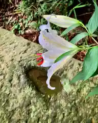 滑川神社 - 仕事と子どもの守り神の自然