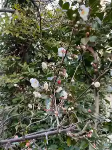 伊勢の国 四天王寺(三重県)(2023年01月19日(木) 16時13分59秒投稿)