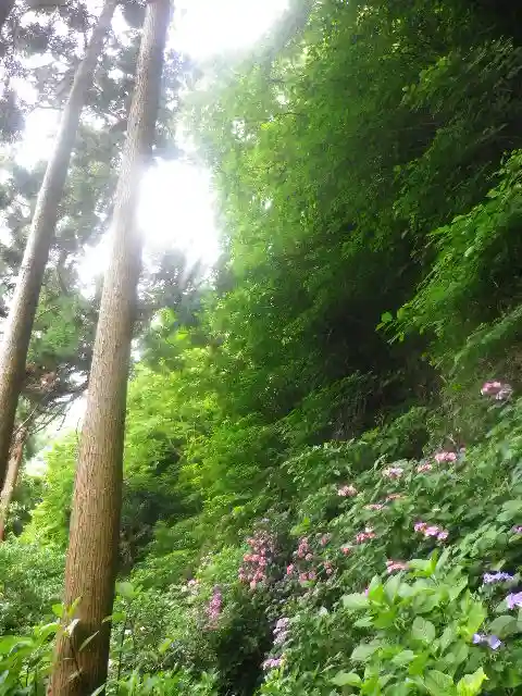御霊神社の自然